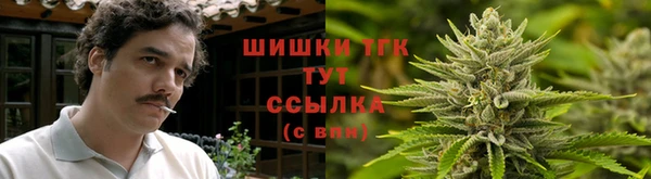 спиды Волоколамск